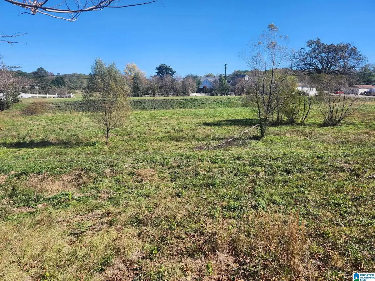 316 HIGHWAY 47, Columbiana, AL 35051 - #1