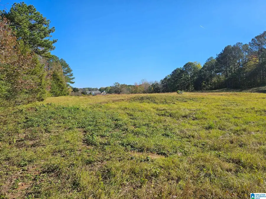 316 HIGHWAY 47, Columbiana, AL 35051 - #2