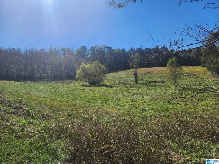 316 HIGHWAY 47, Columbiana, AL 35051 - #3