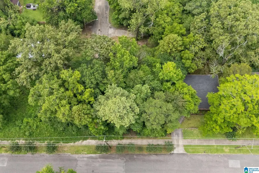 8038 7TH AVENUE S, Birmingham, AL 35206 - #2