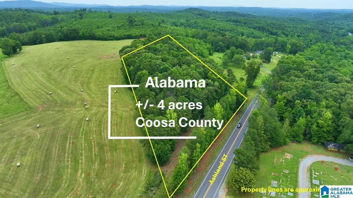 70644 ASHLAND STREET, Goodwater, AL 35072 - #1