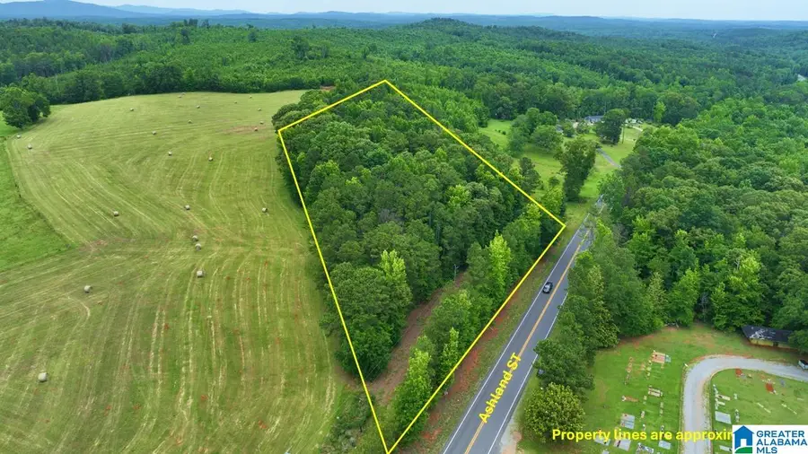 70644 ASHLAND STREET, Goodwater, AL 35072 - #2