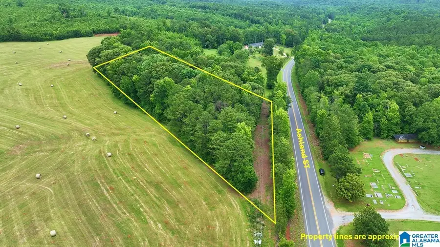 70644 ASHLAND STREET, Goodwater, AL 35072 - #3