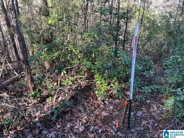 4.15 acres N HAGLER ROAD, Northport, AL 35475