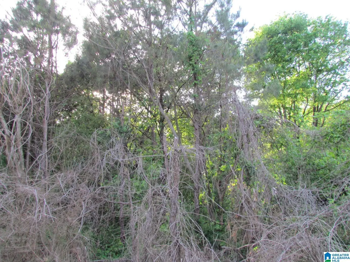 0 HIGHWAY 27, Oneonta, AL 35121 - #1