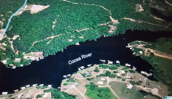 00 COUNTY ROAD 707, Verbena, AL 36091