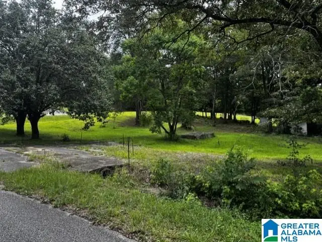 717 18TH STREET, Calera, AL 35040 - #2