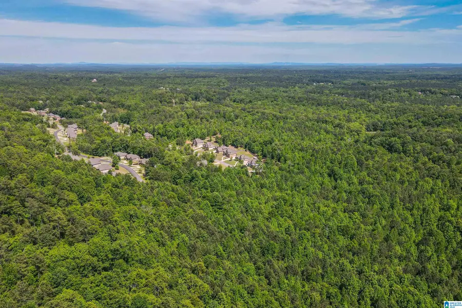 0 BENT CREEK DRIVE, Pelham, AL 35124 - #2