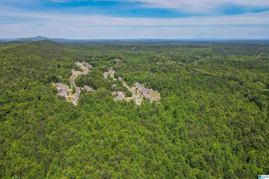 0 BENT CREEK DRIVE, Pelham, AL 35124 - #3