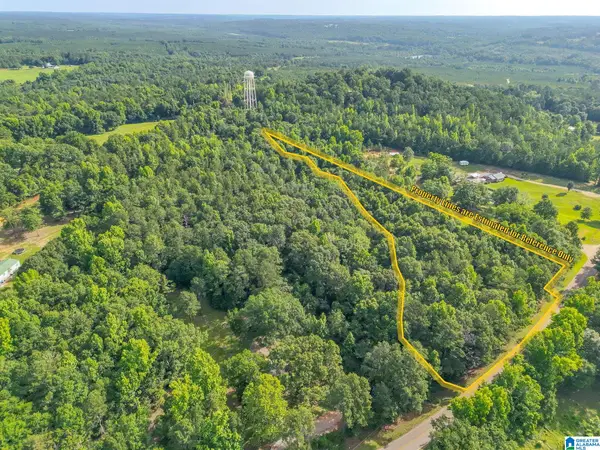 0 COUNTY ROAD 24, Billingsley, AL 36006
