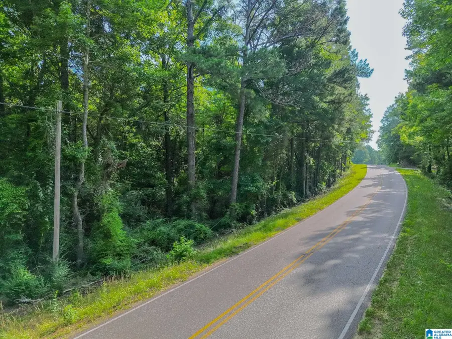 0 COUNTY ROAD 24, Billingsley, AL 36006 - #2