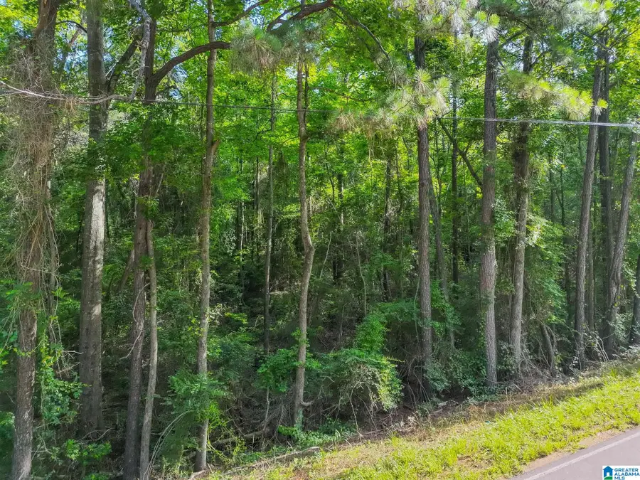 0 COUNTY ROAD 24, Billingsley, AL 36006 - #3