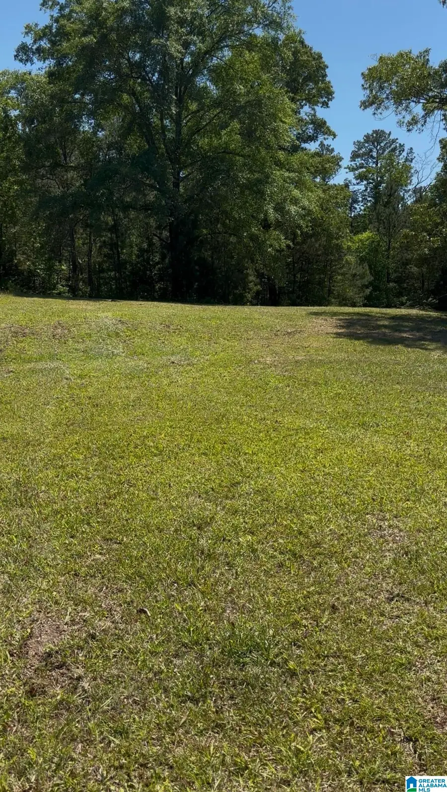 DEBRA LANE, Dora, AL 35062 - #2