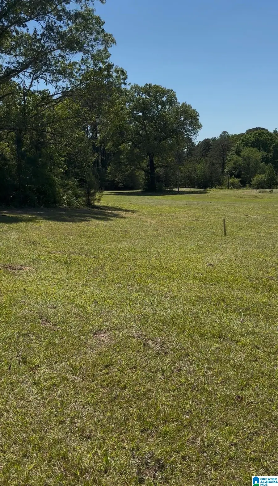 DEBRA LANE, Dora, AL 35062 - #3