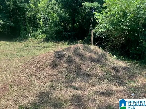 4107 & 4109 EDWARDS STREET, Brighton, AL 35020