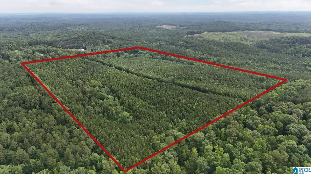 0 SKYVIEW LAKE ROAD, Cottondale, AL 35453 - #1