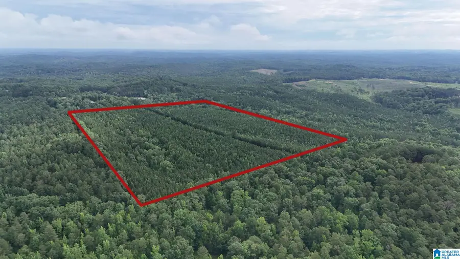 0 SKYVIEW LAKE ROAD, Cottondale, AL 35453 - #2