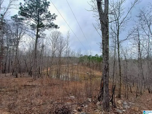 13233 AL HIGHWAY 9, Kellyton, AL 35089