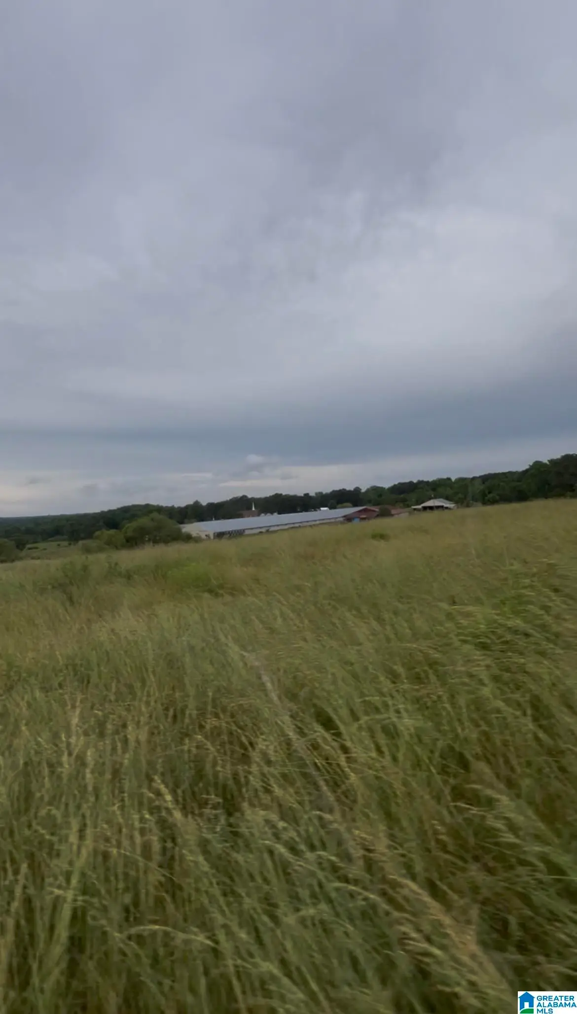 121 BLACK BOTTOM ROAD, Boaz, AL 35956 - #1