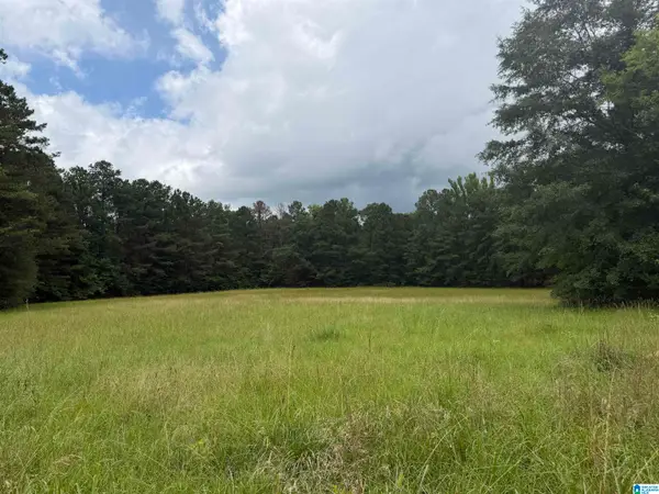 0 HALL BURTON ROAD, Sumiton, AL 35148