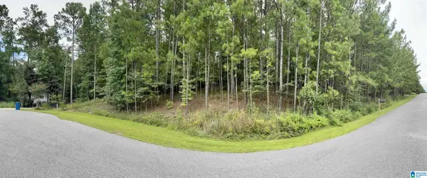 303 BARON CIRCLE, Chelsea, AL 35043
