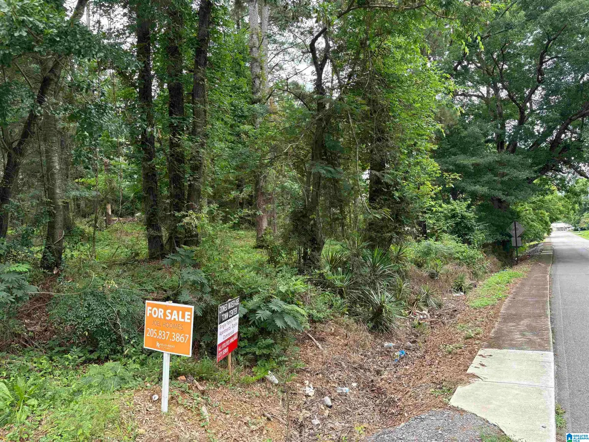 0 7TH AVENUE, Ashville, AL 35953 - #1