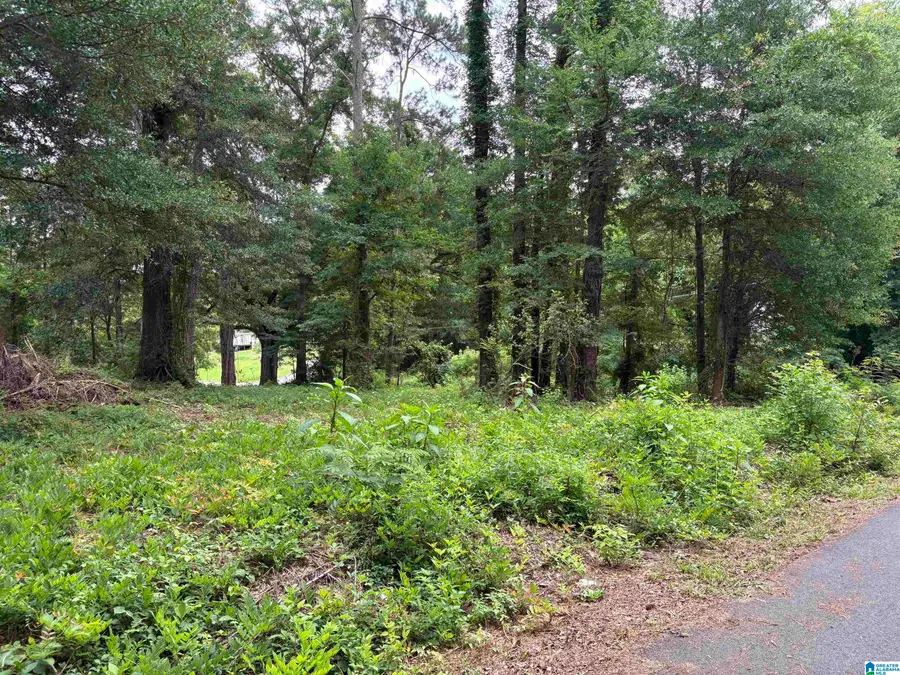 0 7TH AVENUE, Ashville, AL 35953 - #3