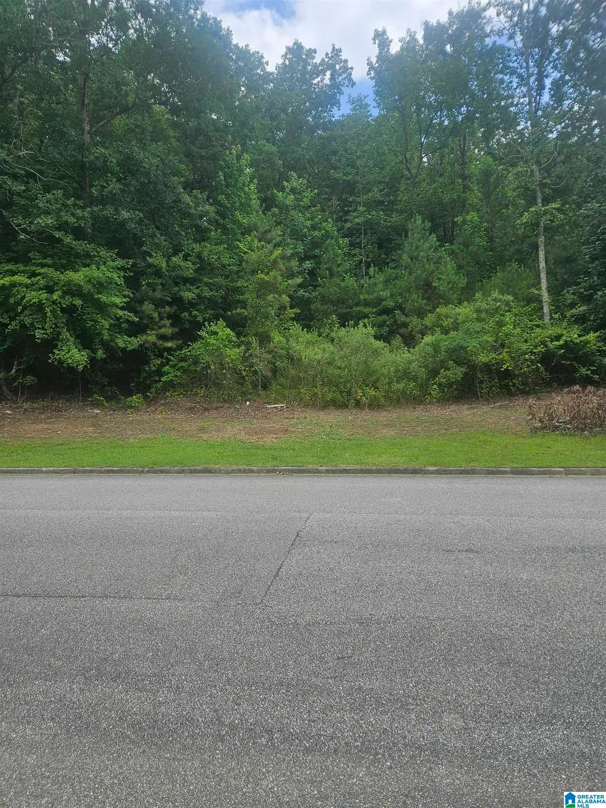 244 NORMANDY LANE, Chelsea, AL 35043 - #1