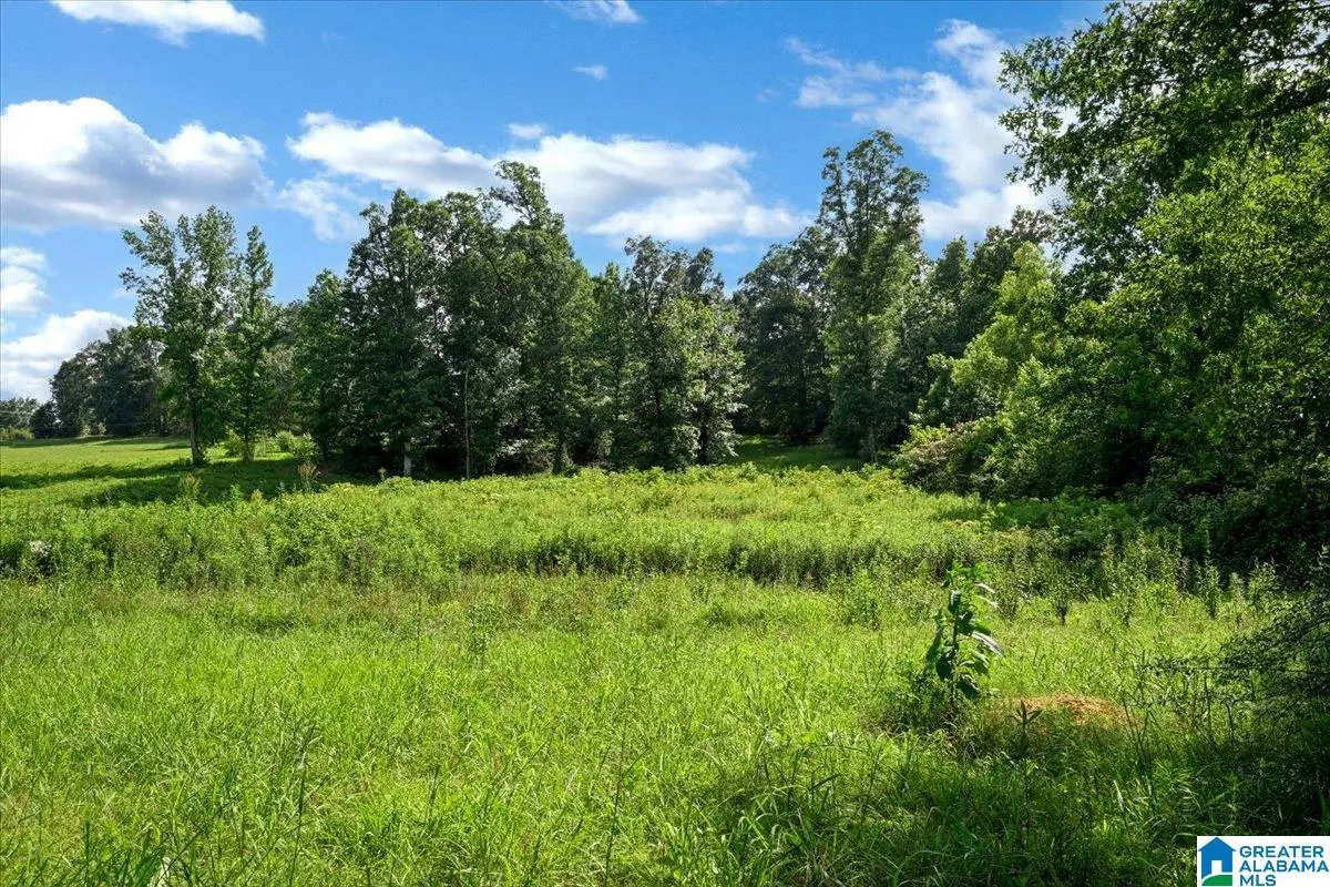 0 COUNTY ROAD 783, Cullman, AL 35055 - #1