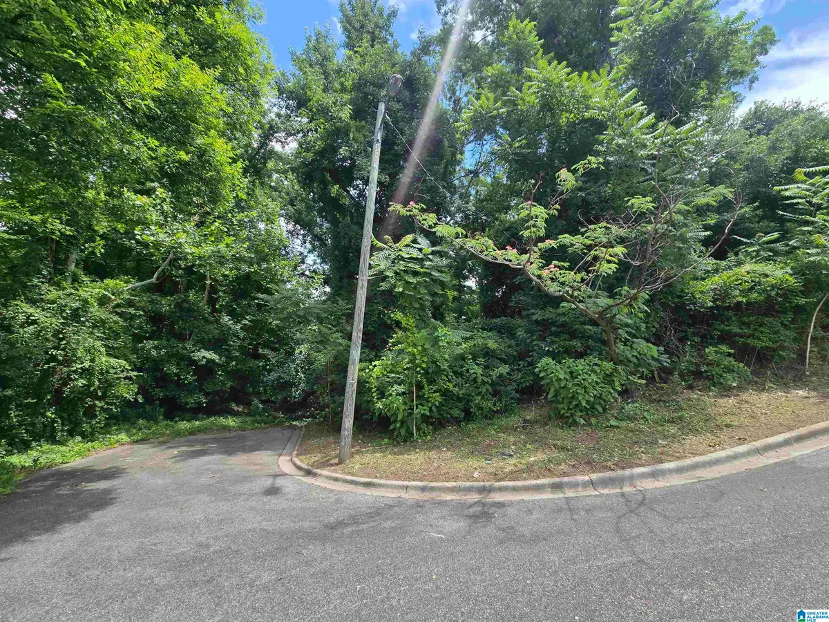 2507 MILES STREET, Homewood, AL 35209 - #1