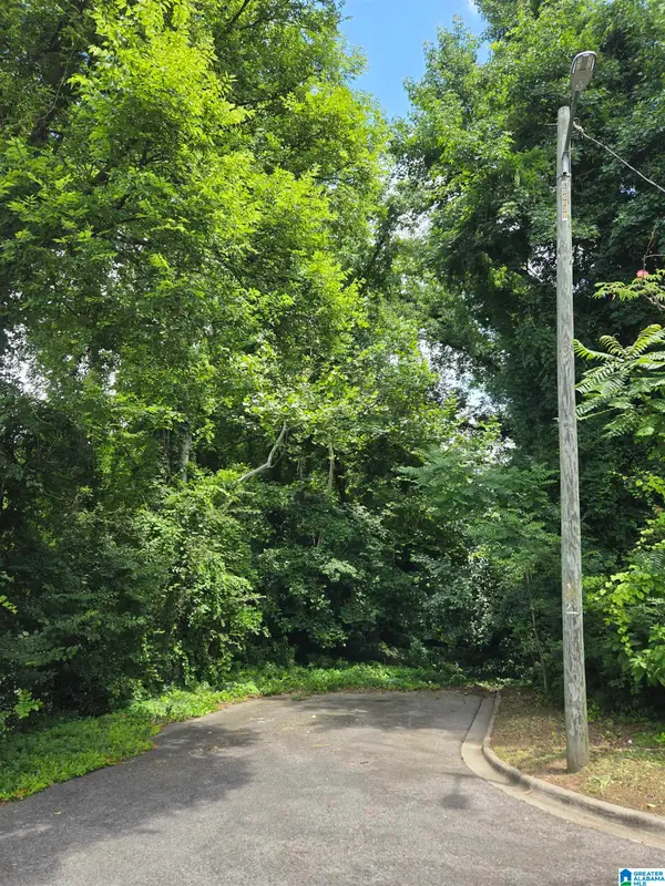 2505 17TH PLACE S, Homewood, AL 35209