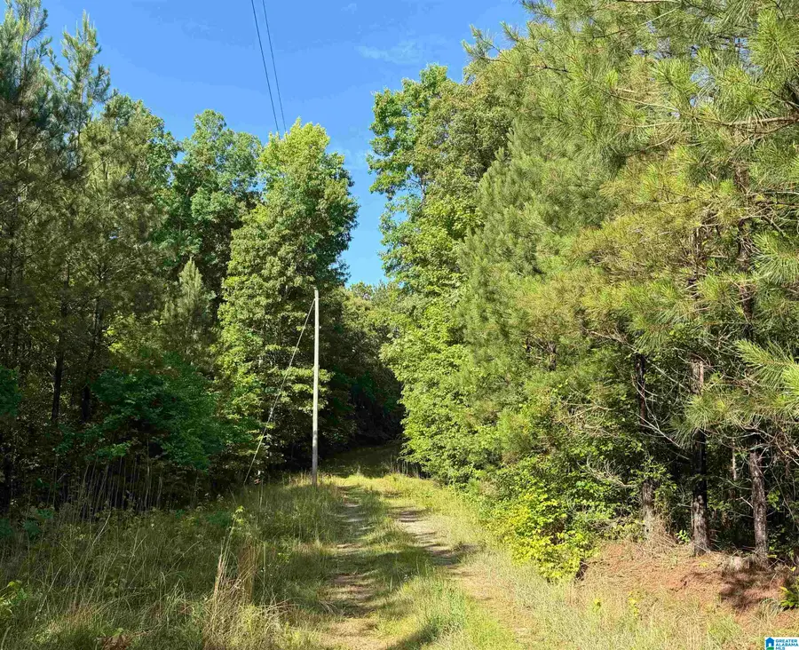 1721 COUNTY ROAD 823, Wadley, AL 36276 - #2
