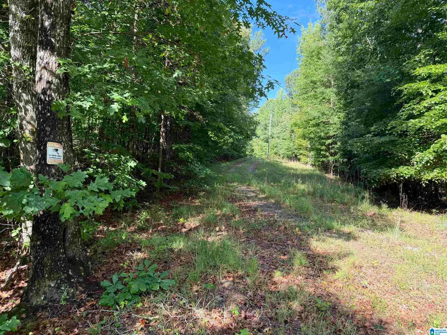 1721 COUNTY ROAD 823, Wadley, AL 36276 - #3