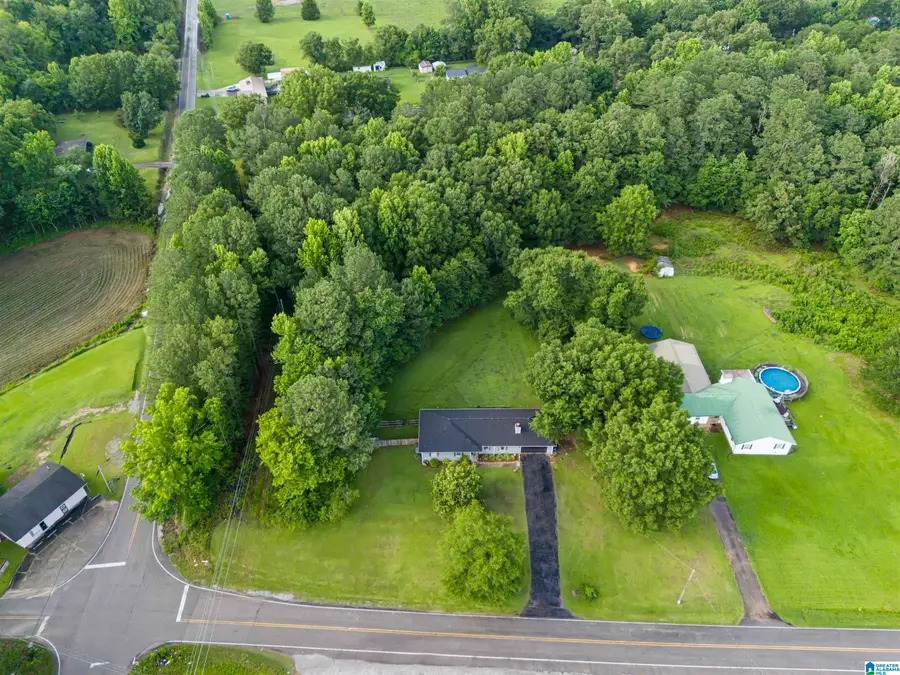 33 CEDAR SPRINGS DRIVE, Jacksonville, AL 36265 - #2