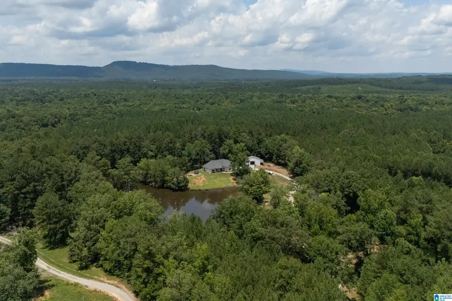 340 LAKE COTTAGE ROAD, Sterrett, AL 35147 - #2