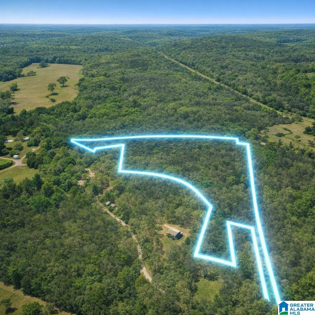 0 JOHNS ROAD, Blountsville, AL 35031 - #1