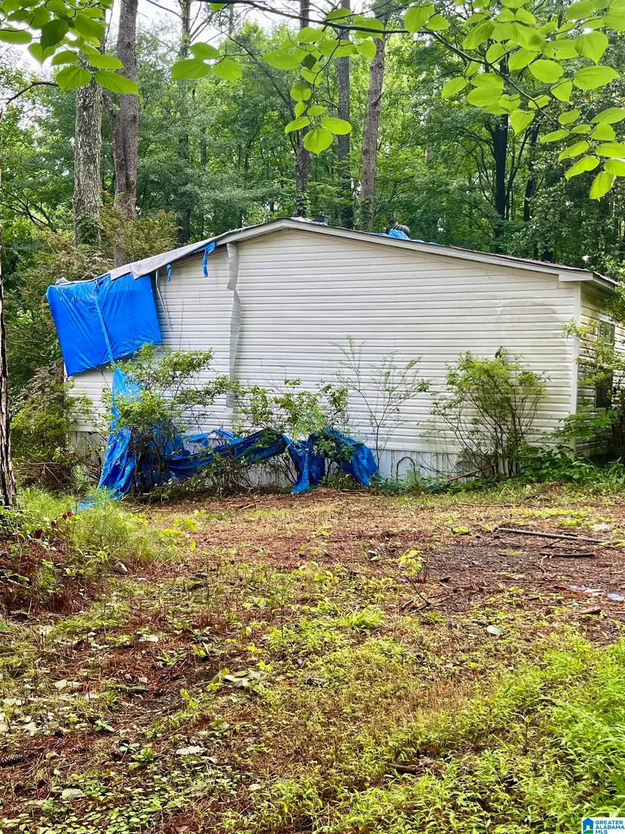 121 COUNTY ROAD 338, Chelsea, AL 35043 - #2