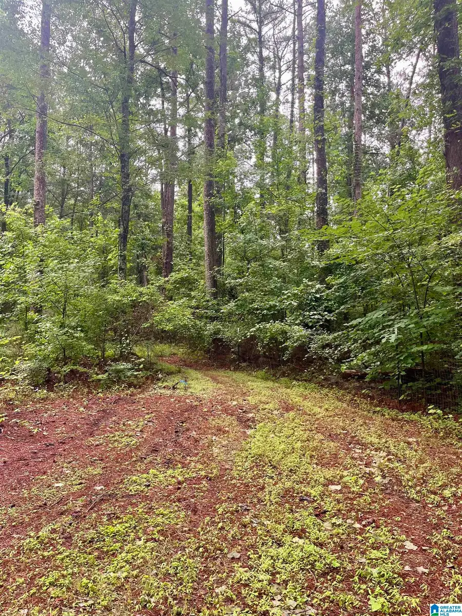 121 COUNTY ROAD 338, Chelsea, AL 35043 - #3