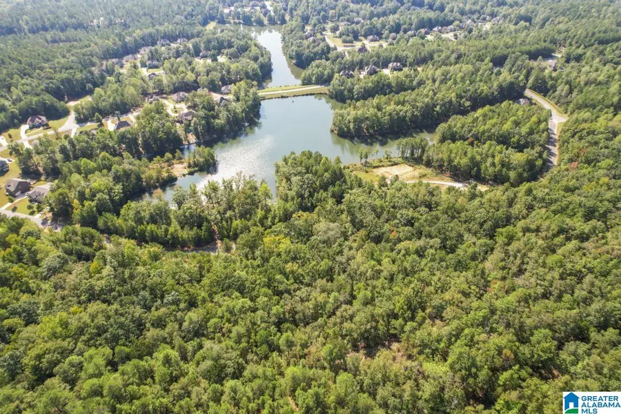 #3C DEER RIDGE DRIVE, Pelham, AL 35043 - #2