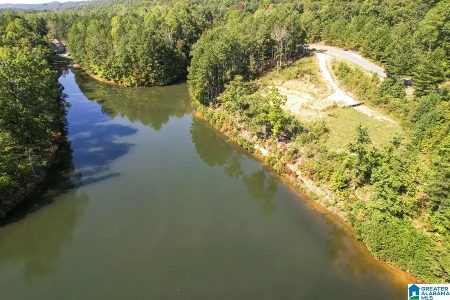 #3C DEER RIDGE DRIVE, Pelham, AL 35043 - #3