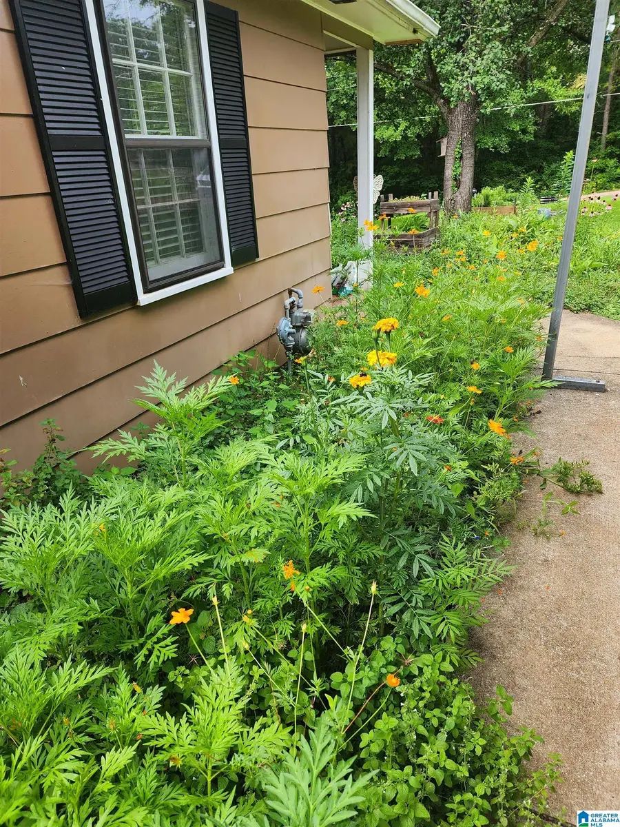 280 PERKINS DRIVE, Talladega, AL 35160 - #3