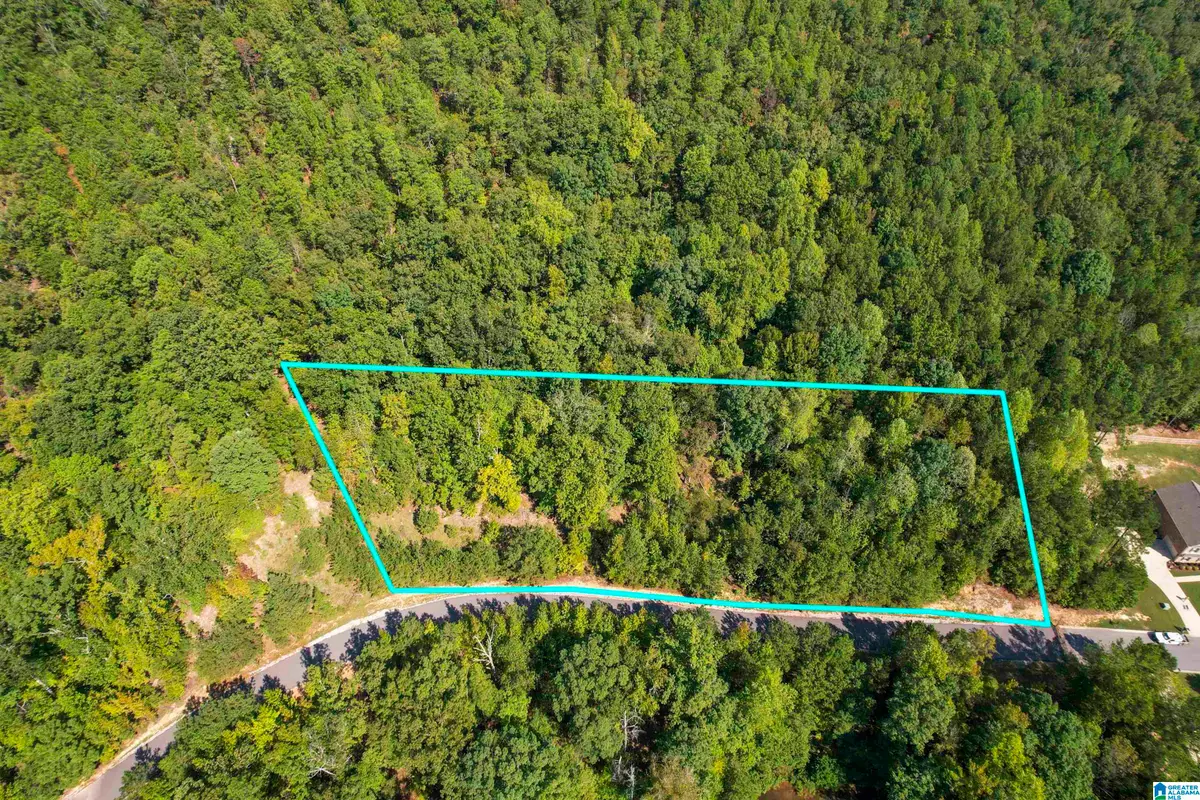 #3A DEER RIDGE DRIVE, Chelsea, AL 35043 - #1