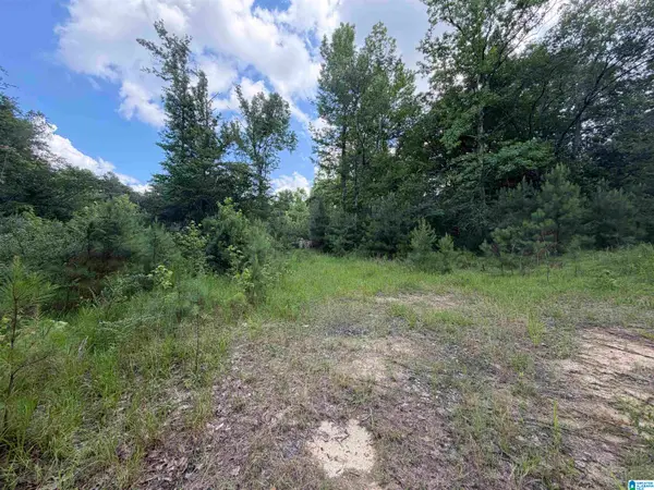 350 OSCAR BRADFORD ROAD, Warrior, AL 35180