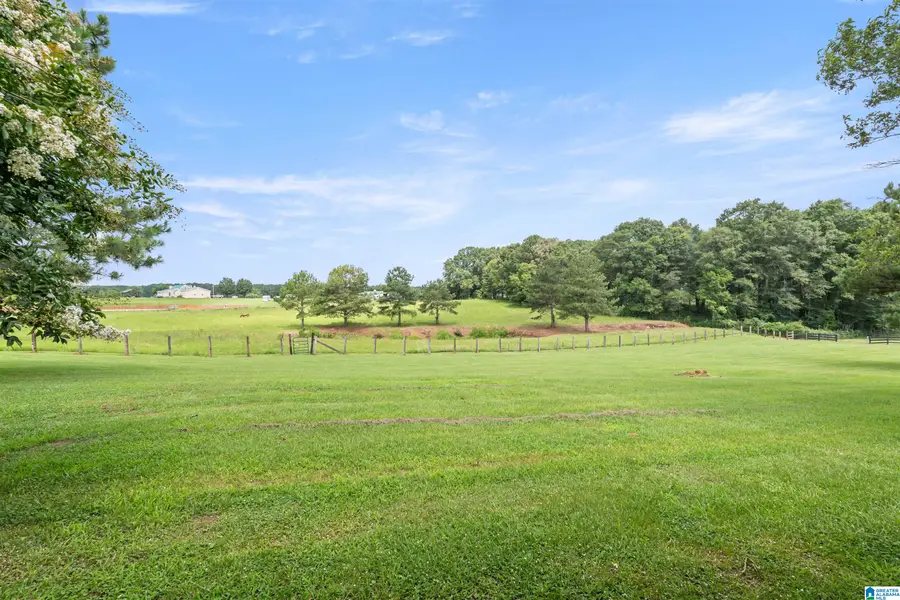 2454 BLUE SPRINGS ROAD, Wilsonville, AL 35186 - #3
