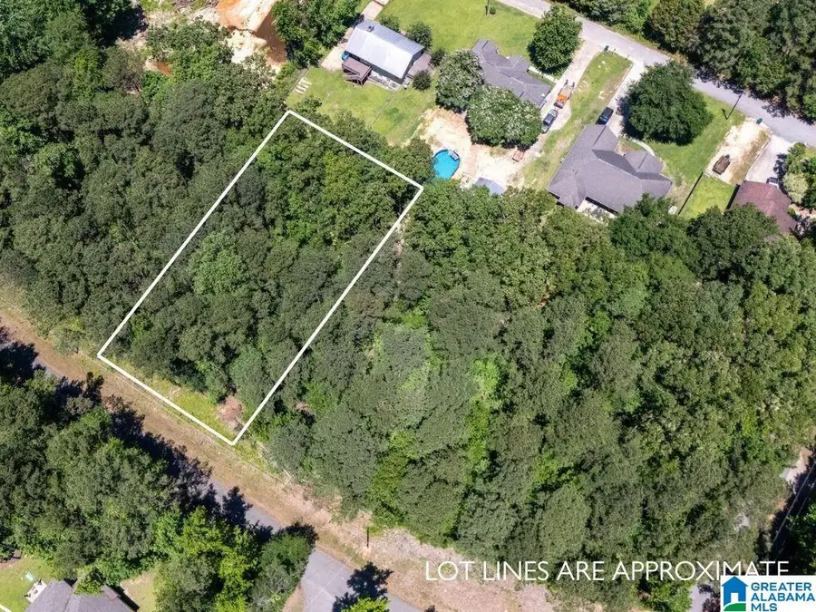 Lot 19 GRANDVIEW DRIVE, Northport, AL 35475 - #2