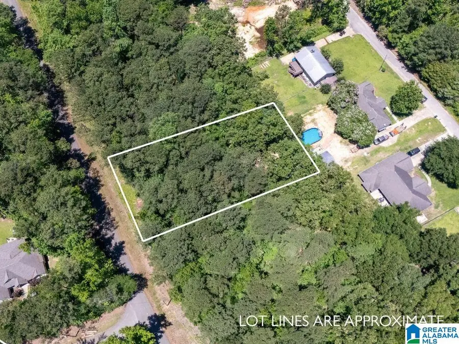 Lot 19 GRANDVIEW DRIVE, Northport, AL 35475 - #3