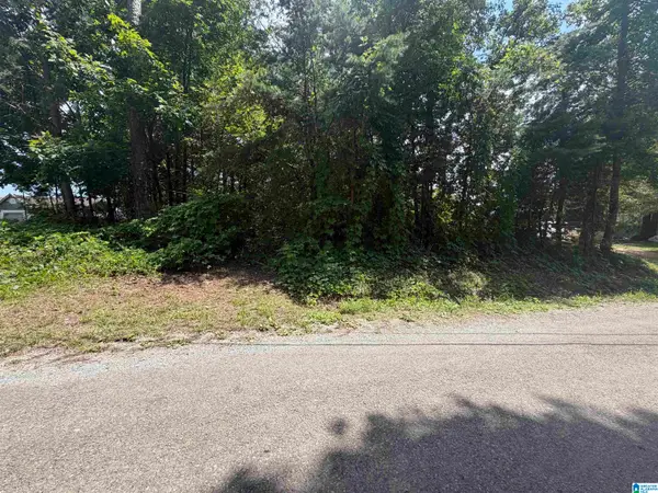 0 HOLIDAY DRIVE, Oneonta, AL 35121