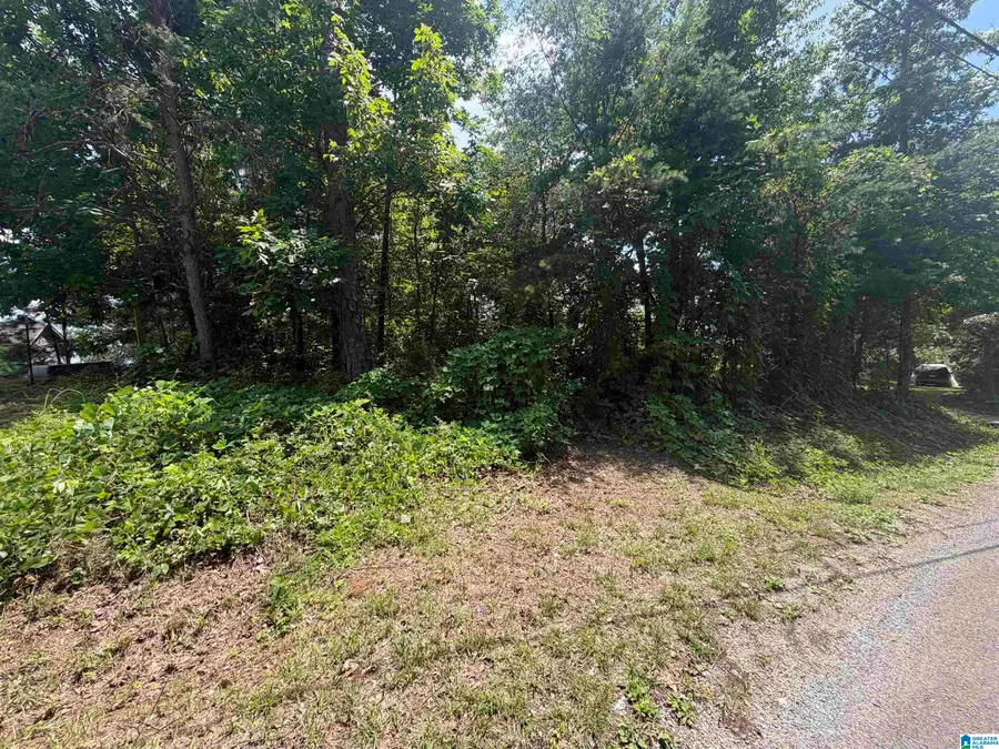 0 HOLIDAY DRIVE, Oneonta, AL 35121 - #2