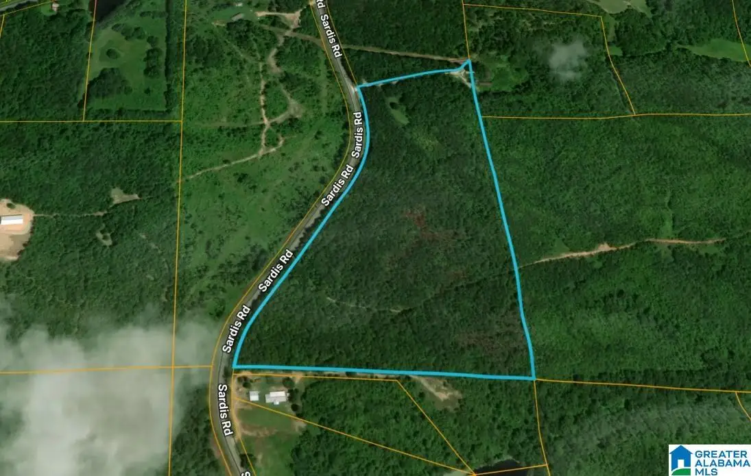 0 BLUFF SPRINGS ROAD, Ashland, AL 36251 - #1
