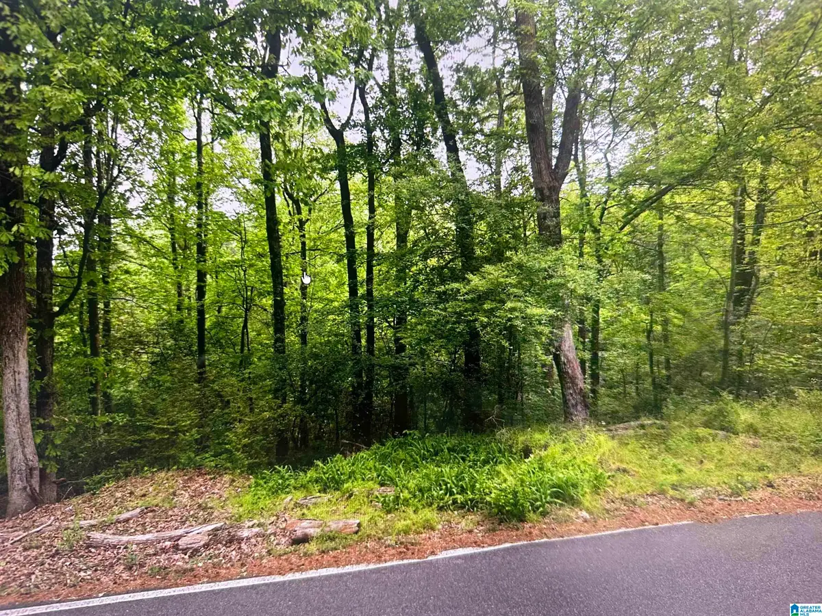 1753 BIG MOUNTAIN DRIVE, Birmingham, AL 35235 - #1